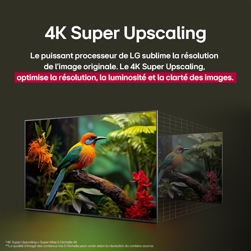 Comparaison avant et après de la façon dont la mise à l’échelle supérieure LG 4K améliore la qualité d’image. Deux panneaux montrant la même image d’un oiseau coloré assis sur une branche dans une forêt, le panneau de droite est estompé. Le titre évoque la façon dont la technologie de mise à l’échelle supérieure 4K améliore la résolution, la luminosité et la clarté.